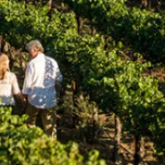 Visit Temecula Valley – wine country