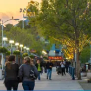 Jack London Square Información general