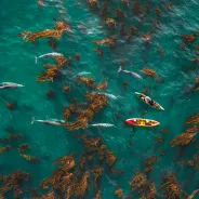 The Pacific Ocean and California Coast