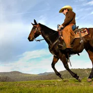Cowboy Culture, Highway One, Bikes and Hikes LA