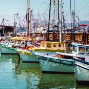 San Francisco Travel – Wharf Sightseeing