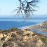 Torrey Pines State Natural Reserve