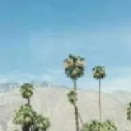 Visit Palm Springs