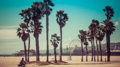パシフィック・コースト・ハイウェイ・サウス | Visit California