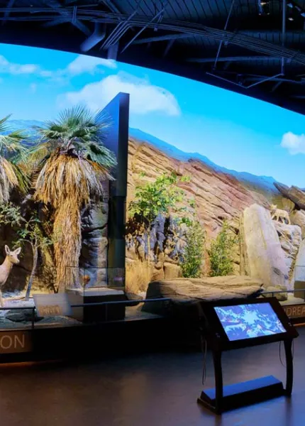 Agua Caliente Band of Cahuilla Indians