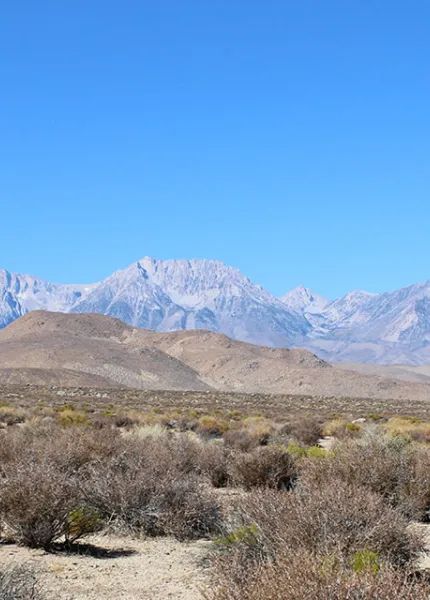 Bishop Paiute Tribe