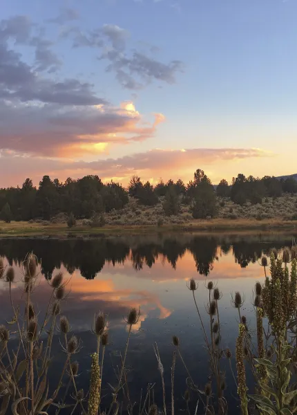 Modoc County