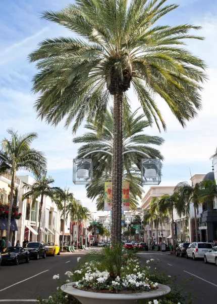 Shopping sfrenato