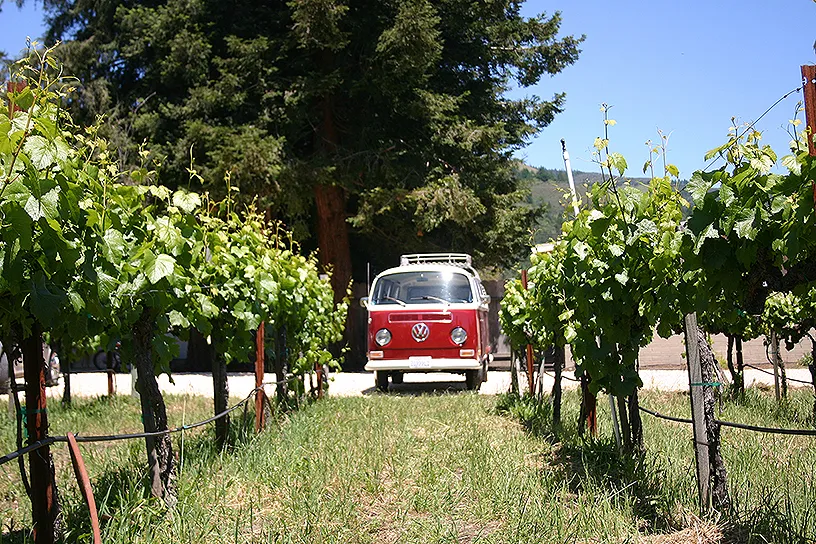 Wine country tours top