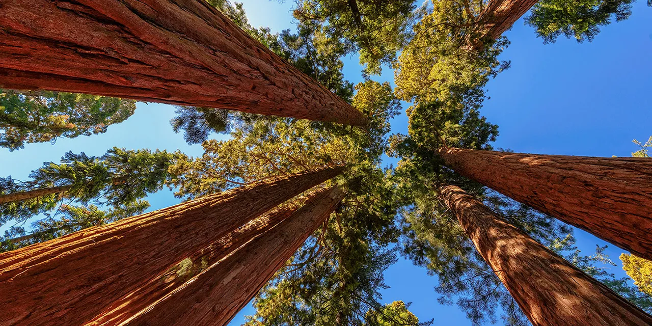 Las mejores cosas para hacer en los Parques Nacionales de California -  Girando el mundo, image size:1280x640