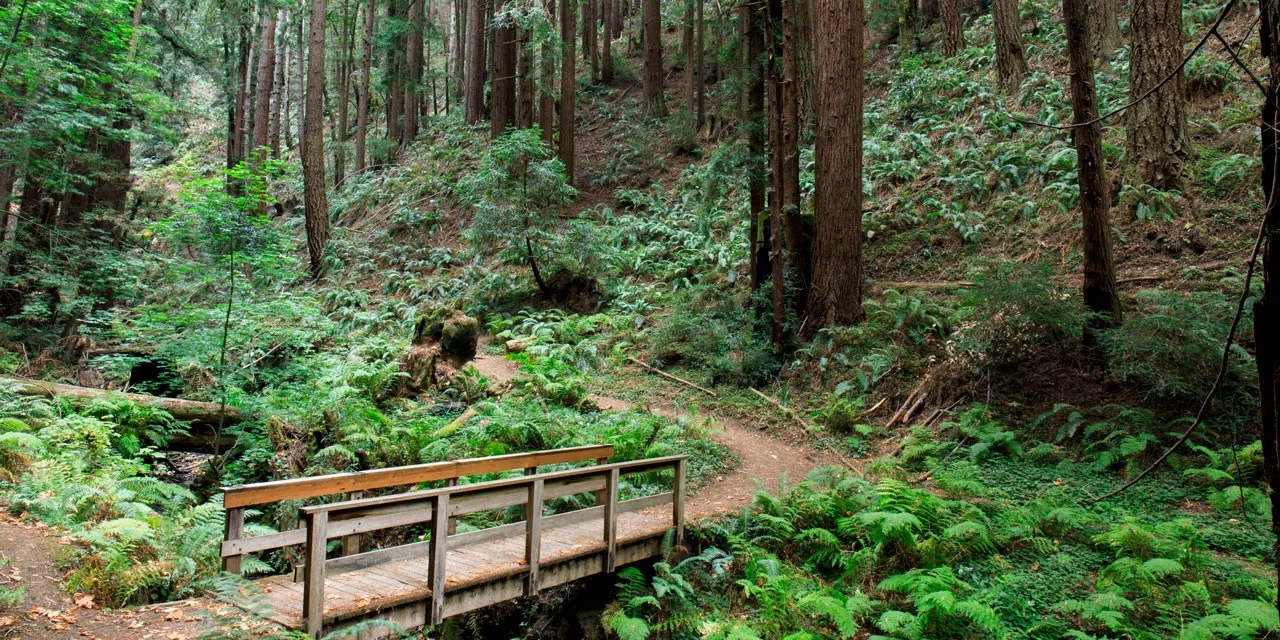 Redwood City | Visit California