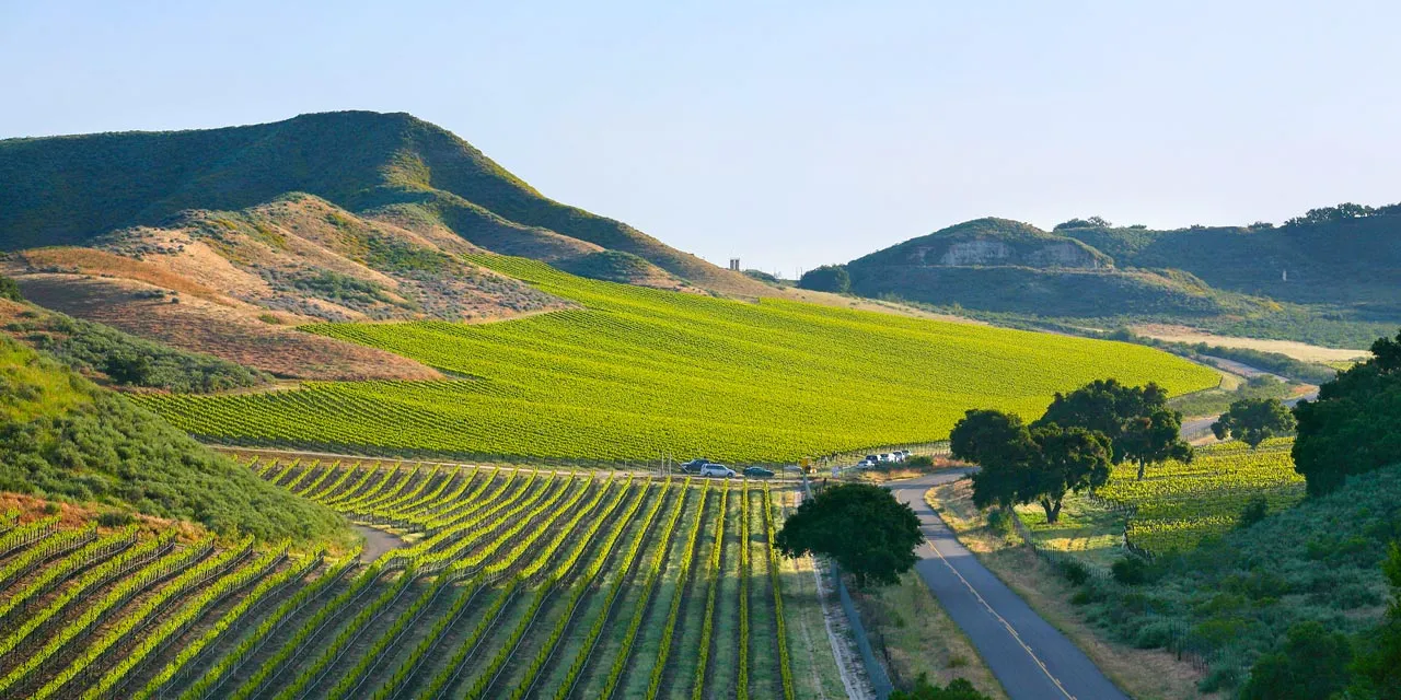 10 Unforgettable Year-Round Adventures in Santa Maria, California