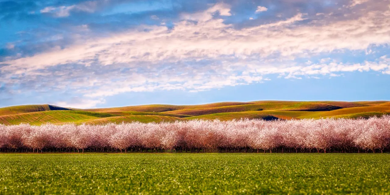 Central Valley