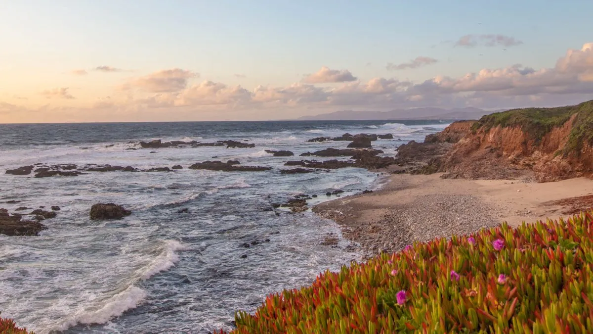 California Welcome Center - Half Moon Bay
