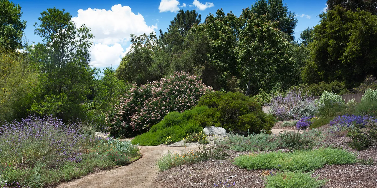 Santa Ana Botanical Gardens: Explore Nature's Oasis