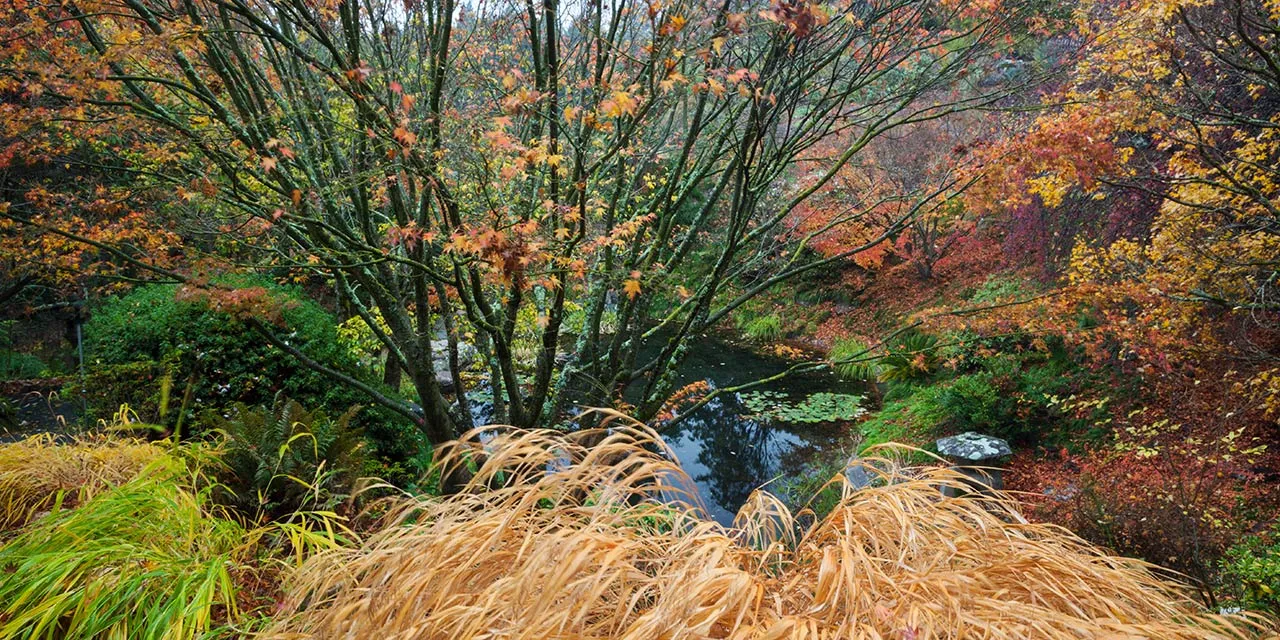 Guide to Hiking in Berkeley