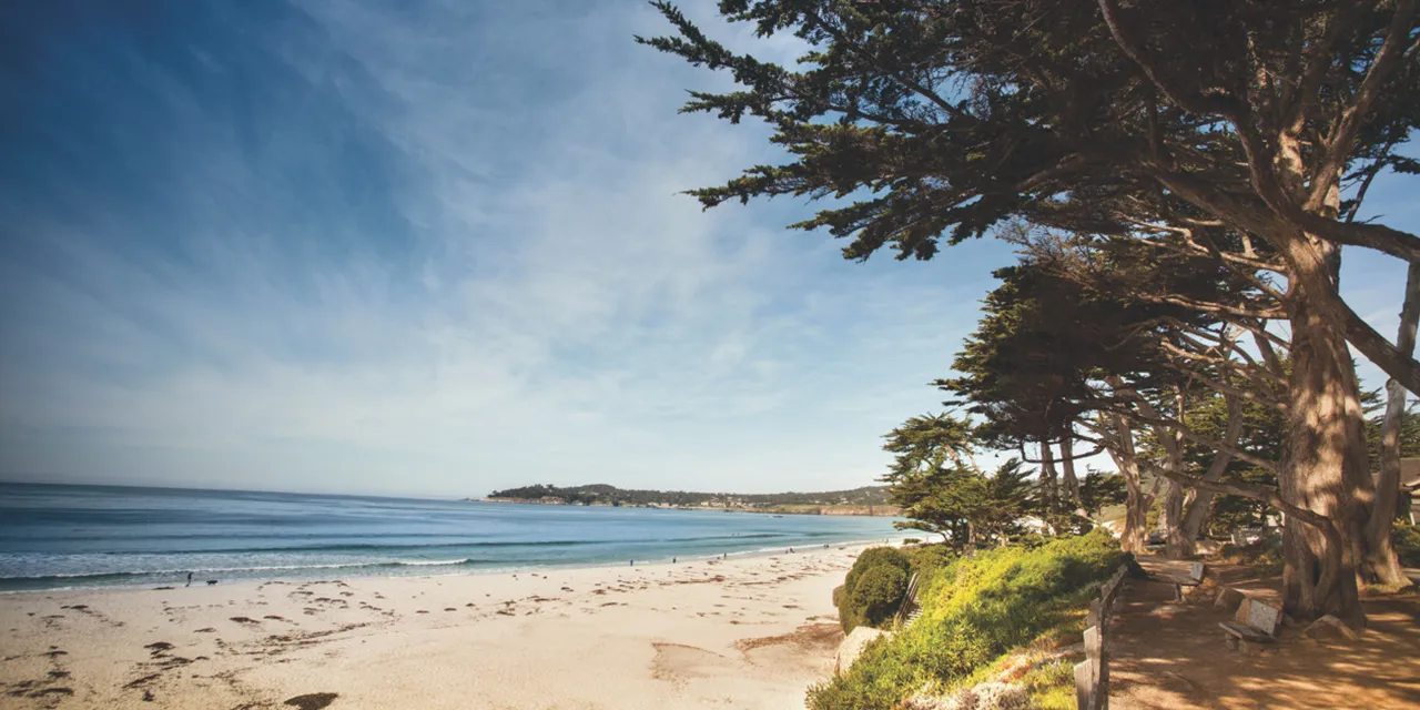 carmel beach surf