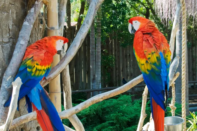 Santa Barbara Zoo