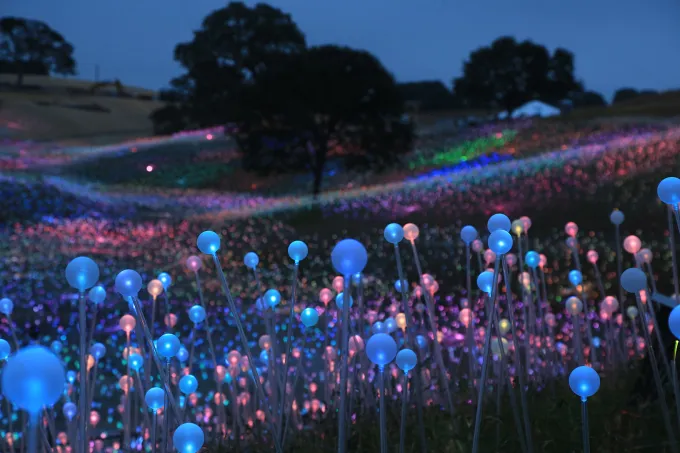 Field of Light