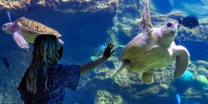SeaWorld in San Diego, California