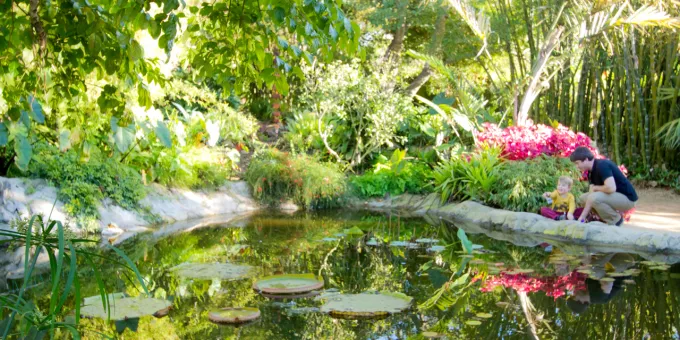 Bamboo Garden at the San Diego Botanic Garden