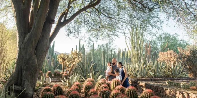 Desert Botanical Garden