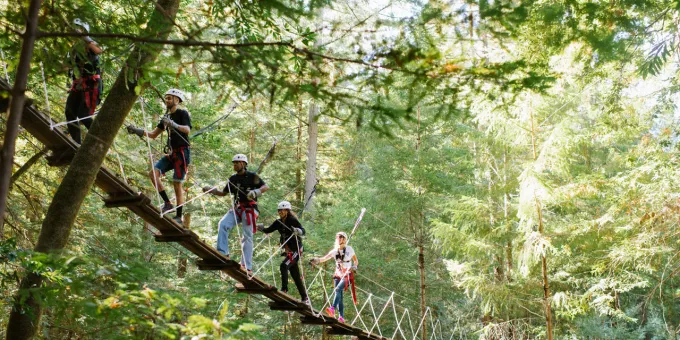 Treetops