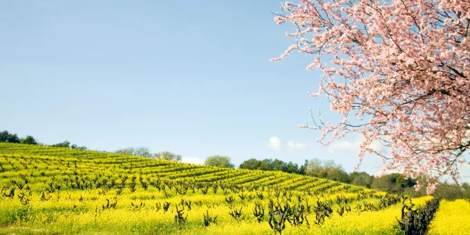California Road Trips Guide, Sonoma County