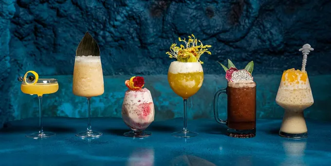 The Best Vegan Restaurants in San Diego, California, Mothership