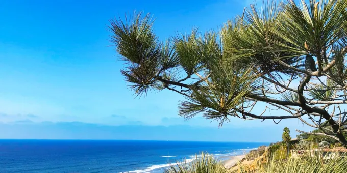 2023 California Visitor's Guide, State Parks, Torrey Pines