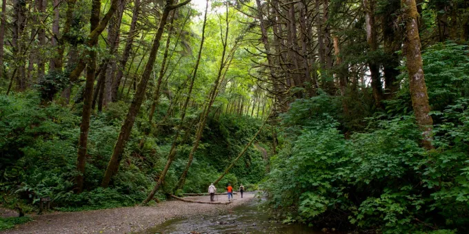 California Family Camping, Elk Prairie