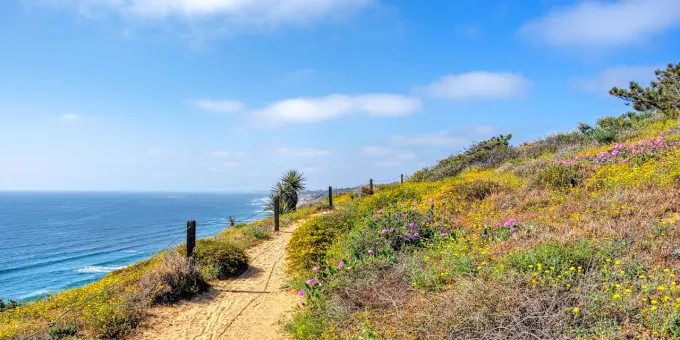 Top Things To Do In San Diego, California