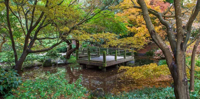 A Visitor's Guide to the San Francisco Botanical Garden in California