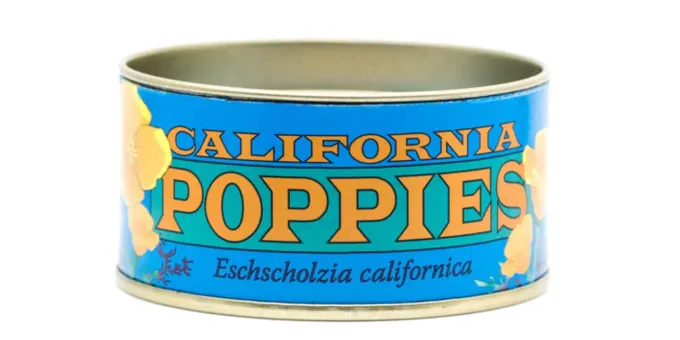 California Gift Guide for Nature Lovers