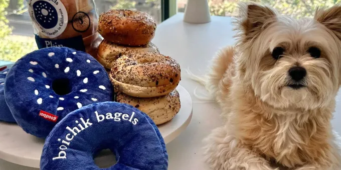 California Gift Guide for Pets