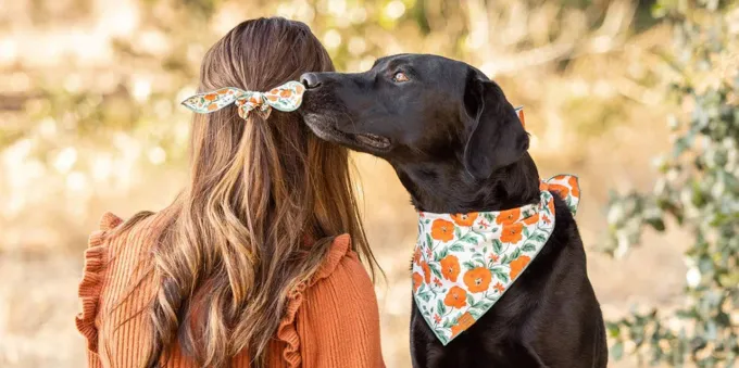 California Gift Guide for Pets