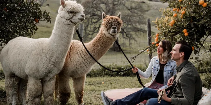 California Weirdly Wonderful Gift Guide