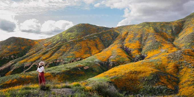 58 Reasons Why California Is the Ultimate Playground