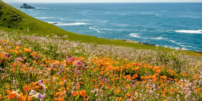 Montana de Oro, Pismo Beach, California in Spring
