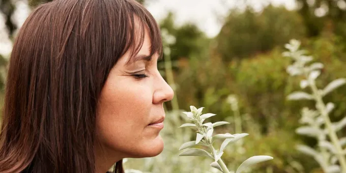 Visit Native California, Cara Romero