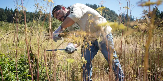 Visit Native California, Amah Mutsun