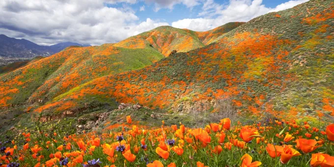 Riverside County, California