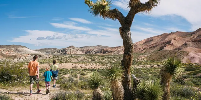 Affordable Family Vacations in California