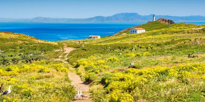 Affordable Family Vacations in California