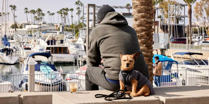 Marina del Rey, Los Angeles, California Today
