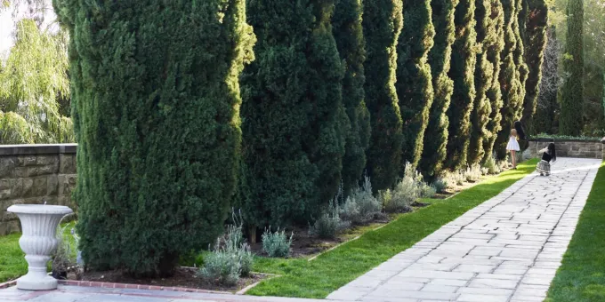 Beverly Hills, Los Angeles, California Today