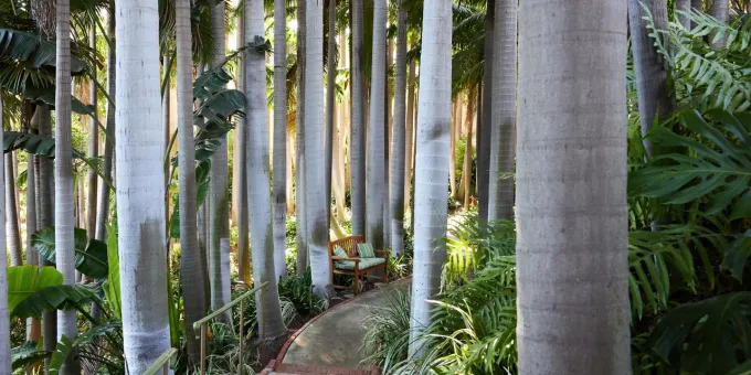 Beverly Hills, Los Angeles, California Today