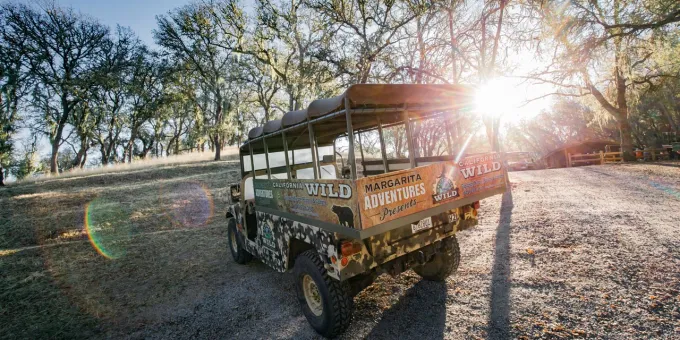 Margarita Adventures Wildflower Tour in Santa Margarita, California