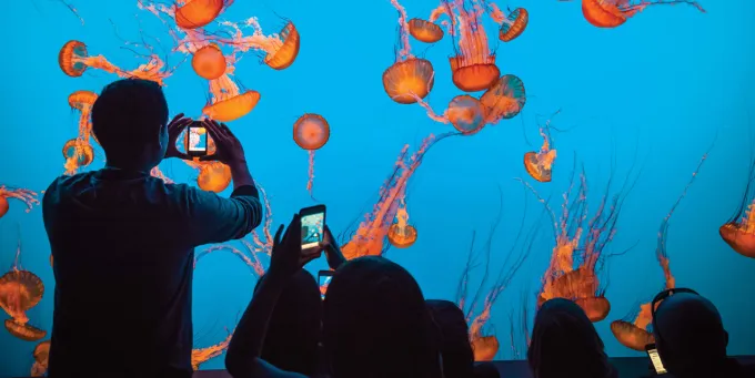 Monterey Bay Aquarium