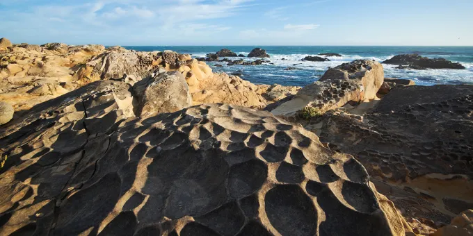 Salt Point